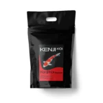 KENJI KOI Season