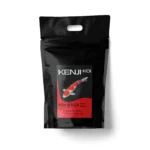 KENJI KOI Winter Balance